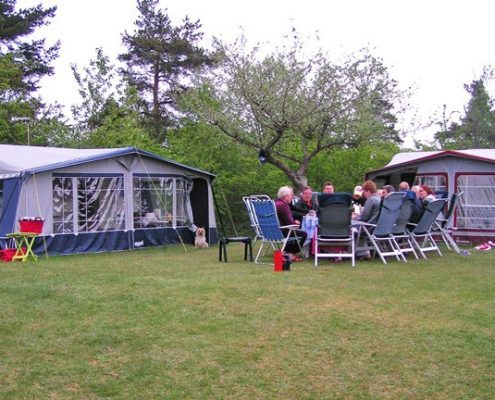 happy get together with family on camping