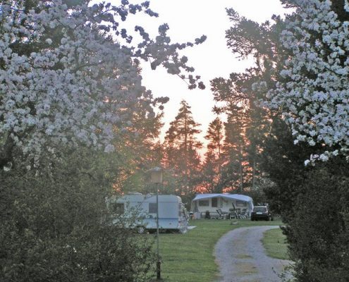 Forår på Skanderborg Sø Camping