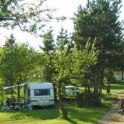 camping in nice shade