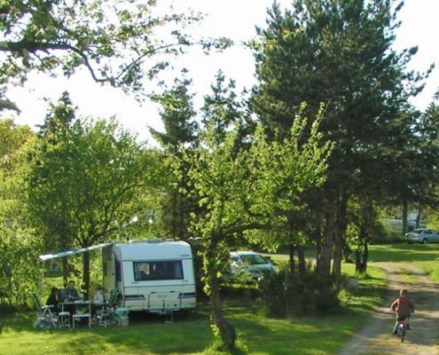 camping in nice shade