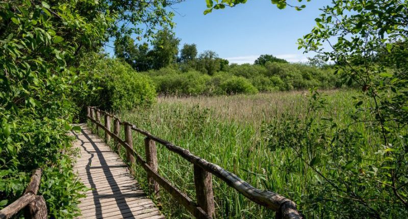 Brug over de wandelroute rond Svanesø in Skanderborg