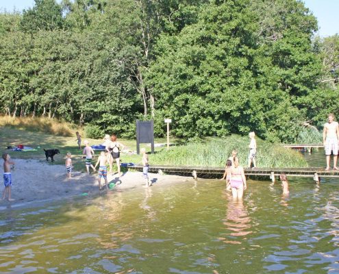 badende campinggæster ved skanderborg sø
