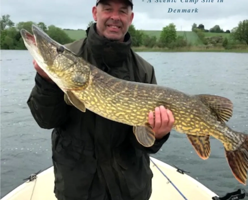 fishing brochure