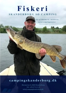 fiskebrochure skanderborg sø camping