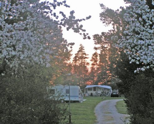 Forår på Skanderborg Sø Camping
