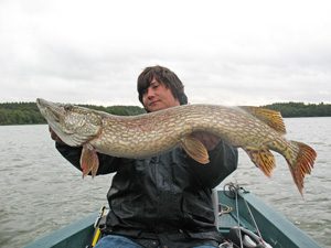 Tag på fisketur ved Skanderborg Sø. Her er gode muligheder for at fange gedder.