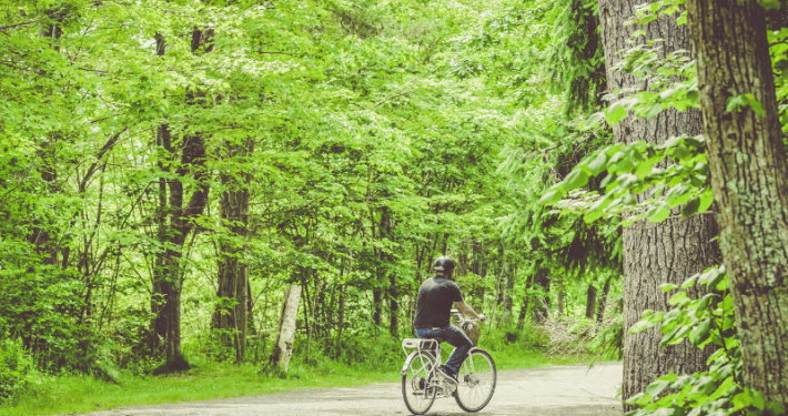 Mand på cykeltur i dansk natur