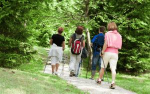 Groep op een wandeling in het bos in Denemarken